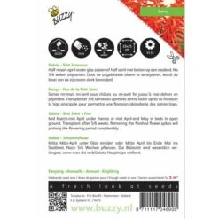 Vuursalie Sint Jansvuur - Salvia Splendens -DCM Verkoopwinkel vuursalie sint jansvuur salvia splendens 1646840330 430 600