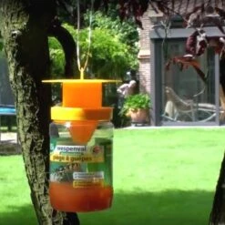 BSI Wespenval - Herbruikbaar -DCM Verkoopwinkel wespenval herbruikbaar 1554450075 2 600