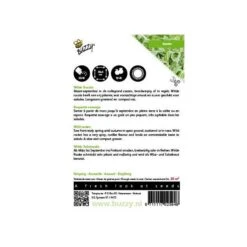 Wilde Rucola - Diplotaxis Tenuifolia -DCM Verkoopwinkel wilde rucola diplotaxis tenuifolia 1646840318 164 600