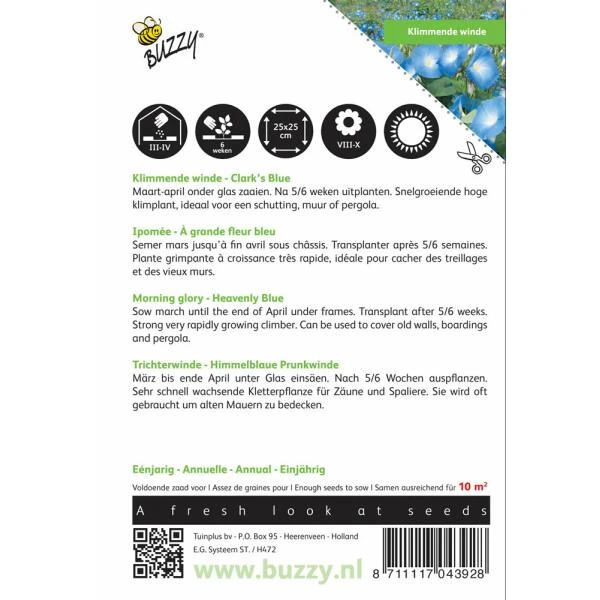 Winde Blauw - Ipomoea Tricolor - Afbeelding 2