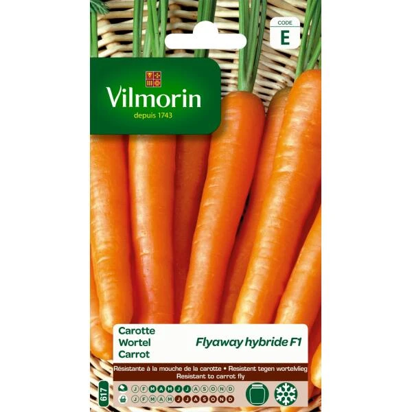 Wortel Fly Away - Daucus Carota 3 Wortel Fly Away - Daucus Carota