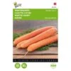 Wortelen Berlikumer 2 - Daucus Carota 1 Wortelen Berlikumer 2 - Daucus Carota -DCM Verkoopwinkel wortelen berlikumer 2 daucus carota 1646840323 271 600