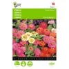 Zinnia Thumbelina Mix - Zinnia Elegans -DCM Verkoopwinkel zinnia thumbelina mix zinnia elegans 1646840333 471 600
