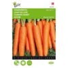 Zomerwortel Napoli F1 - Daucus Carota -DCM Verkoopwinkel zomerwortel napoli f1 daucus carota 1646840376 1410 600