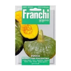 Zucca Berrettina Piacentina - Pompoen Groen