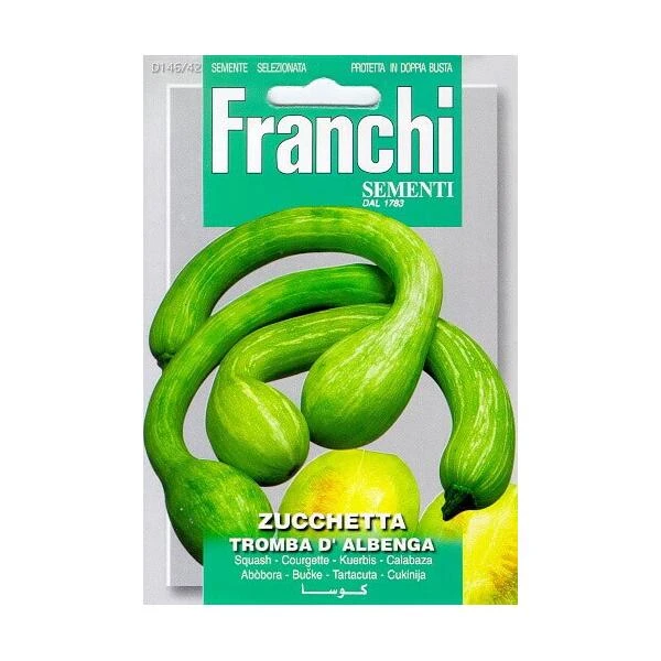 Zucchetta Tromba D Albenga - Trompet Kalebas 3 Zucchetta Tromba D Albenga - Trompet Kalebas