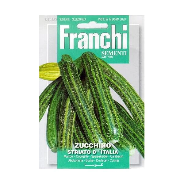 Zucchino Striato D Italia - Courgette 3 Zucchino Striato D Italia - Courgette